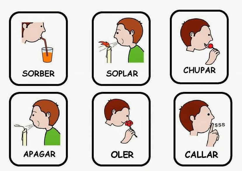 Programa conductuales